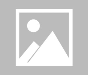 九游体育-SHIB遭遇大幅下滑超278%，投资者恐慌性抛售